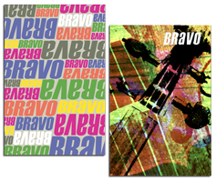 Lincoln Center Performance Programs